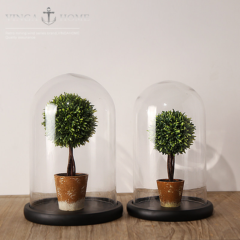 Modern minimalist dust-proof simulation plant transparent glass cover decoration micro-landscape living room coffee table porch decorations