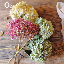 (Hydrangea) Real flowers Air-dried forest bouquet Nordic home bar table placement eternal flower shooting props