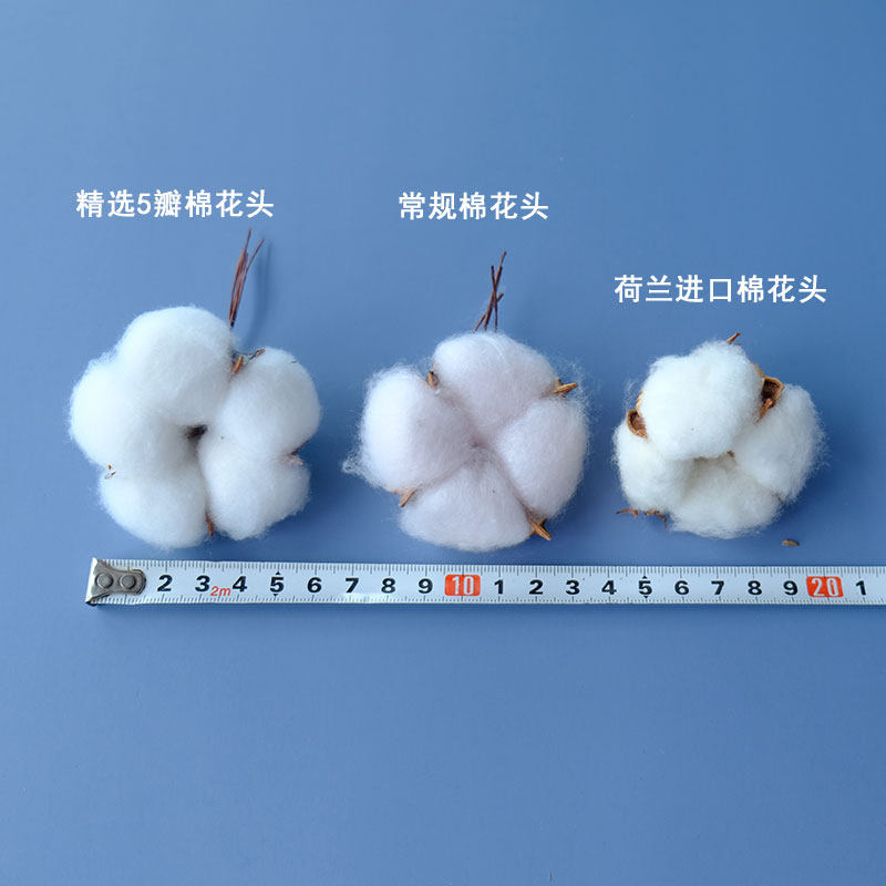 Natural cotton head gift box Decorative photo frame Painting fan Christmas kindergarten DIY line salon handmade materials