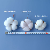 Natural cotton head gift box decoration photo frame painting Group fan Christmas kindergarten DIY offline salon handmade materials