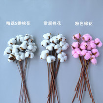 (Cotton with Rod) decorative flower arrangement natural cotton head with Rod bouquet flower box DIY handmade material