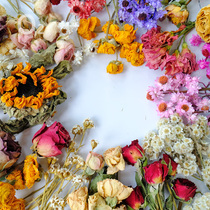 (Dried flower flower head) hand frame painting wreath material childrens hand painting wax Brand Group fan material