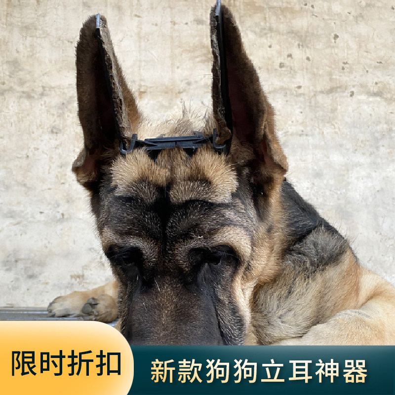 Alaska Shepherd Supplies Glue Vertical Ear Bead Correction Assisted Stand Ear Instrumental Gidola Suitable Teddy Pets