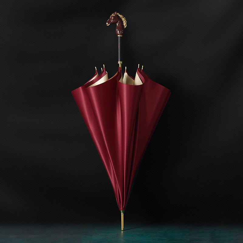 Danmunier original design Xinjiang horse retro umbrella clear and rain dual-use custom-made creative umbrella delivery box dress