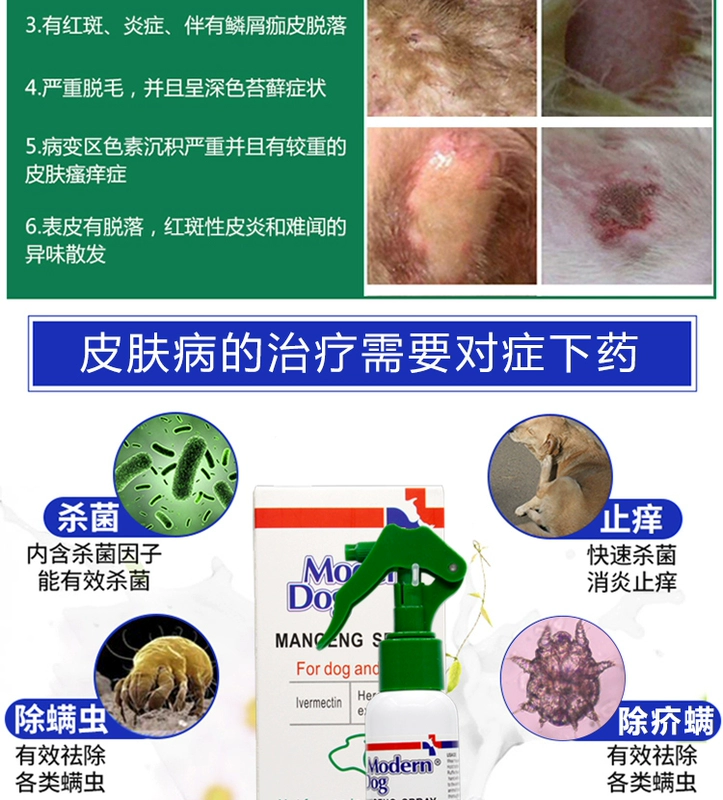 Chó hiện đại 螨 Kang phun chó và mèo mạt rõ ràng / / demodex chó mites vật nuôi da ngoài 螨 Teddy - Cat / Dog Health bổ sung