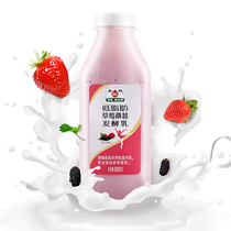 Hurun 0 fat sucrose low-fat strawberry Mulberry blueberry original 880g yogurt Yogurt Yogurt