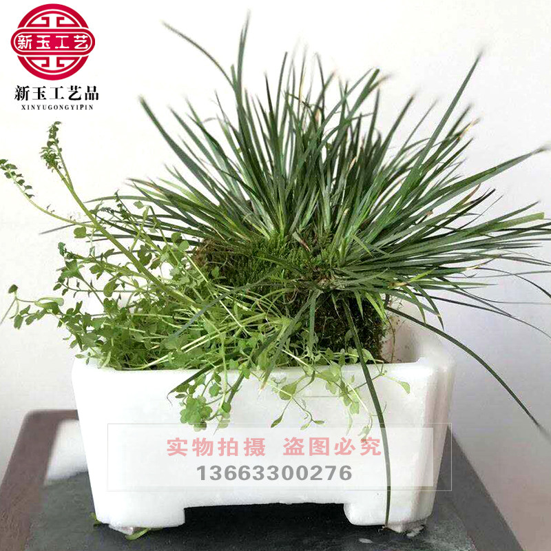 Stone Carving Green Stone Small Stone Basin Imitation Ancient Orchid Bonsai Stone Flower Pot Indoor Raising Flowers Decoration Small Green Stone Basin Hem
