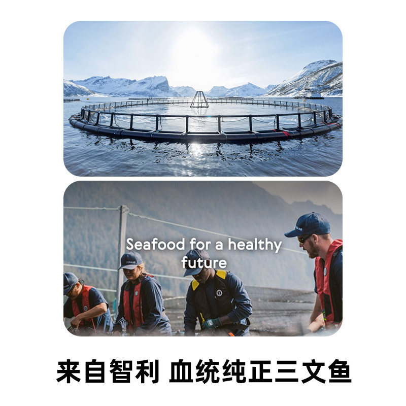 健身达人们都在问:2025年进口智利赛马克三文鱼排到底值不值得买?