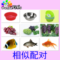 Item similar matching card autism teaching aids autism training language development retardation rehabilitation ABA boutique