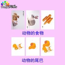 What do animal food eat tail autism Autism ABA rehabilitation training card children early education puzzle