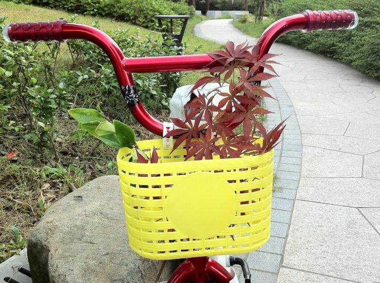 Panier pour vélo - Ref 2259073 Image 7