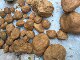 Simulated Stone, Fake Stone, Garden Landscape, Window Display, Photography Props, Wedding Sculpture, Performance Display, Foam Stone