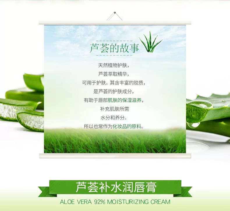 Aloe Vera Lip Balm Colorless Fresh Plant Lip Care Moisturising Facial Lip Balm ngủ môi laneige