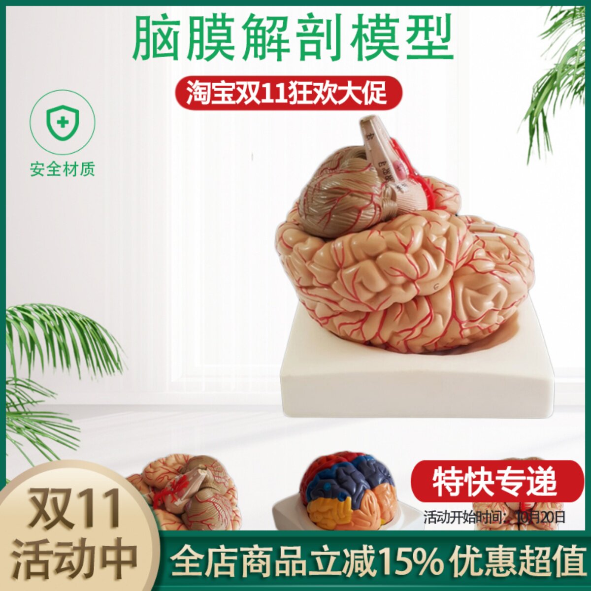 包邮自然大脑解剖模型 脑动脉解剖模型 神经科脑模型 脑模型