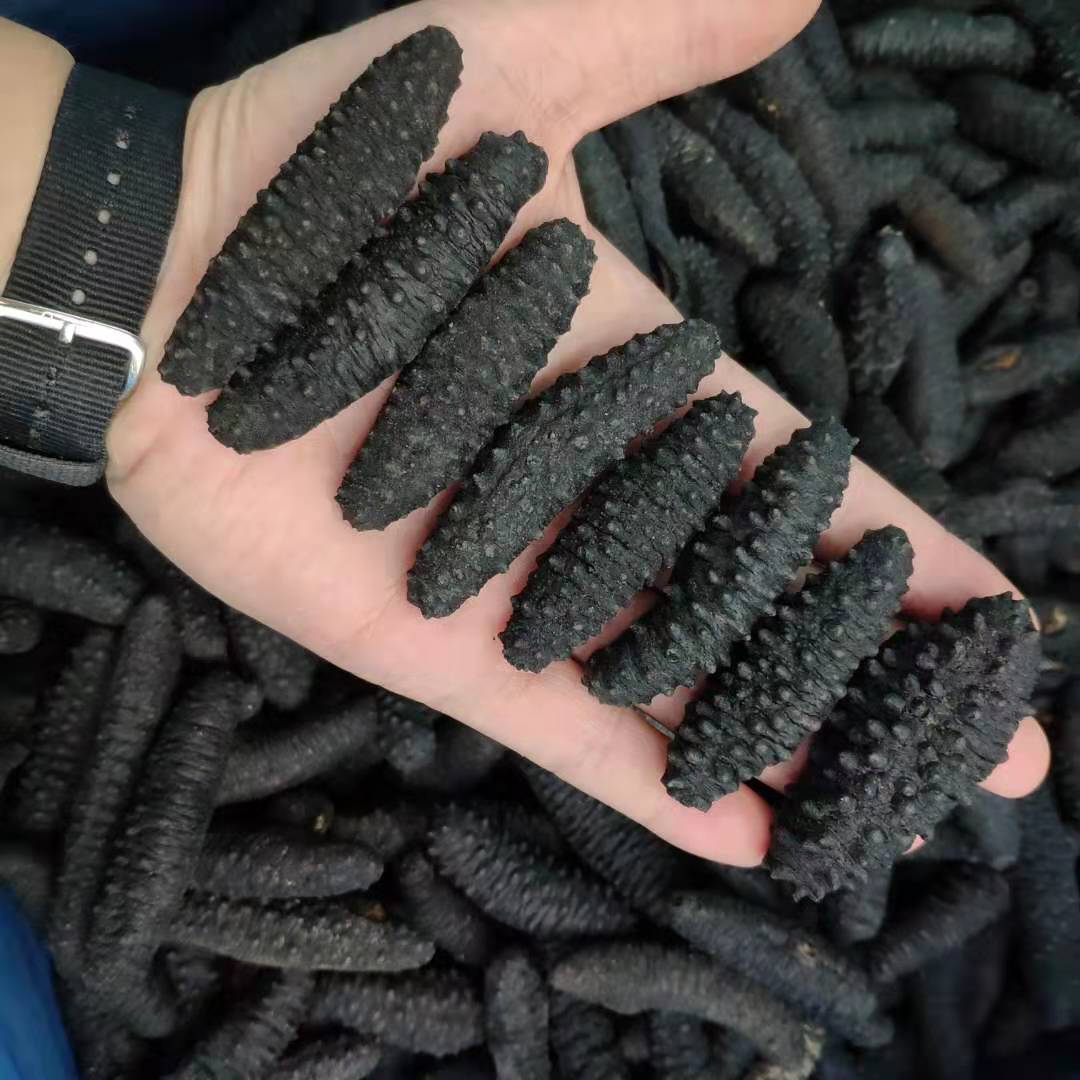 輸入野生ライト乾燥トルコナマコ乾物アイスランドヨーロッパ黒ナマコ米ナマコ非遼ナマコ500g送料無料