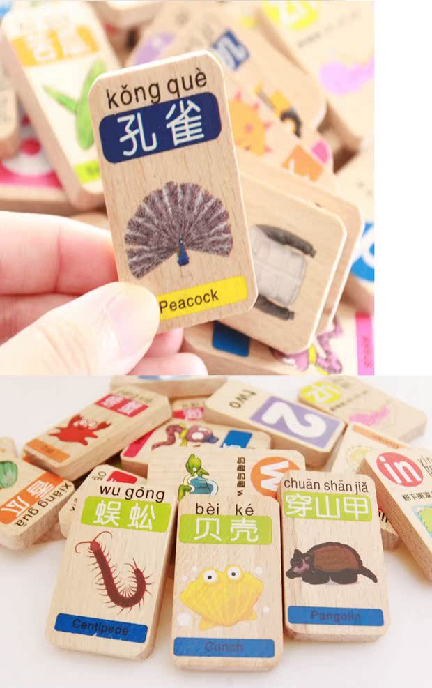 [Đặc biệt hàng ngày] 100 khối xây dựng kiến ​​thức cho trẻ em hai mặt domino