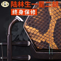 Lu Linsheng Erhu One Star Erhu Africa Arnotu Suku научится выполнять Erhu, отправляя аксессуары