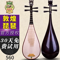 Shanghai Dunhuang Pipa 560 Rosewood, гриб 乌 轸 上海 上海 上海 上海 上海 上海 上海 上海 上海 上海