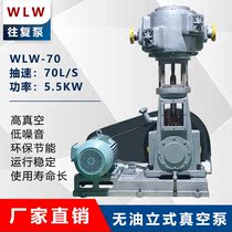 WLW-70 100 150 300 Oil-free vertical vacuum pump Reciprocating pump Anti-corrosion chemical special vacuum pump