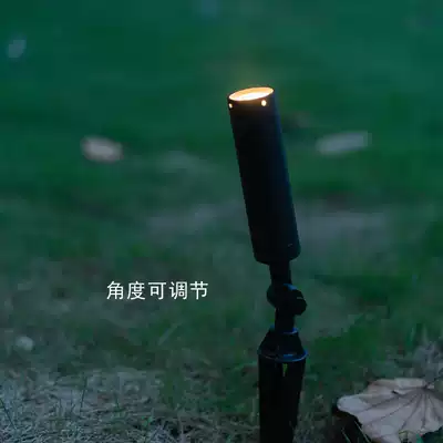 Flood light outdoor waterproof light tree light Garden aisle spot light outdoor LED green lawn shooting tree light ground plug light