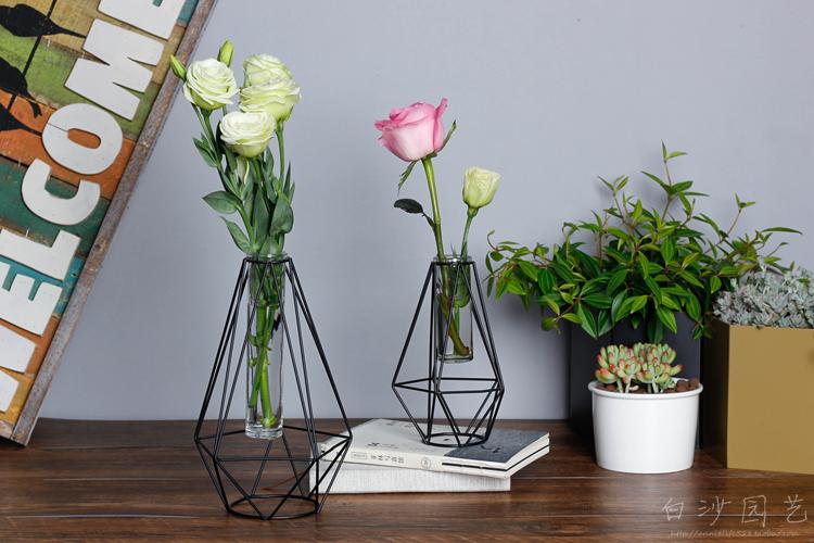 Bắc Âu cắm hoa bình thủy canh cây thủy canh chai trong nhà trang trí nhà đơn giản bình thử nghiệm ống sắt rèn hoa chai - Vase / Bồn hoa & Kệ chậu trồng rau