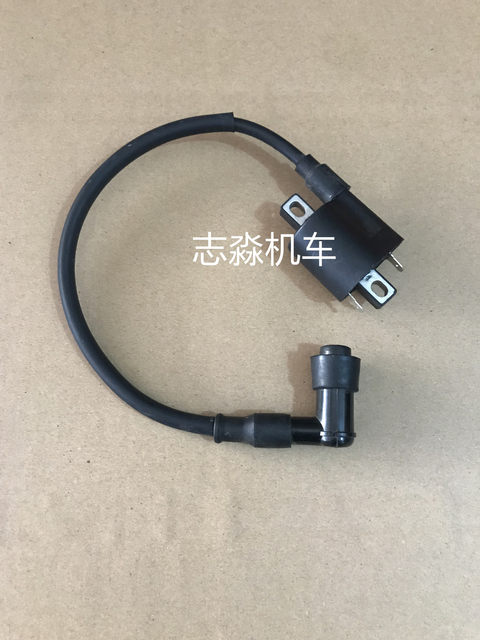 Baofu Neon Genesis Guowei Horizon Little Ninja V6 Single Cylinder 200 Engine Electric Spray Ignition Coil High Voltage Package