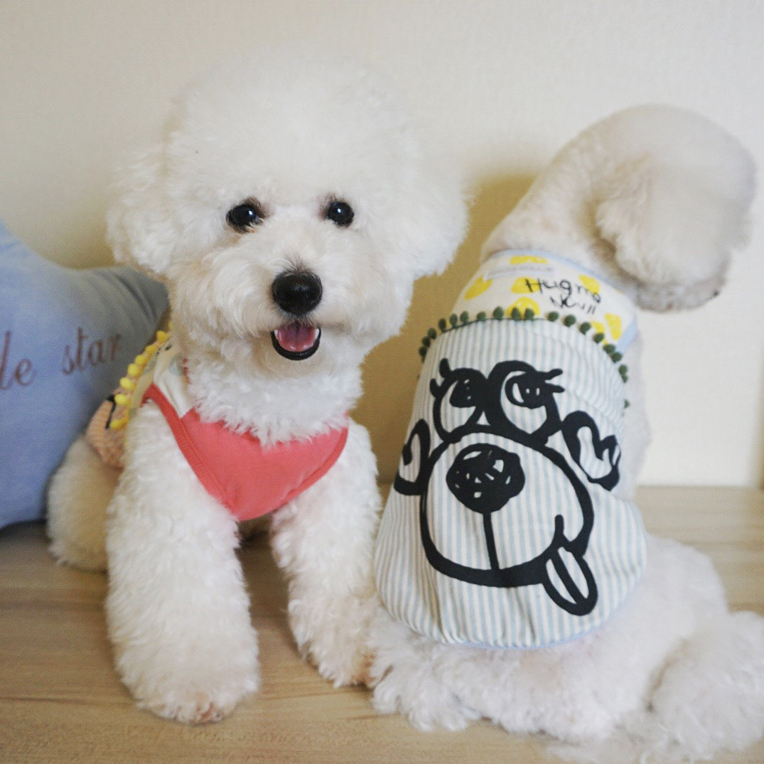 Export original single cute crab pattern cotton thin summer pet vest Bichon Pomeranian puppy dog ​​clothes