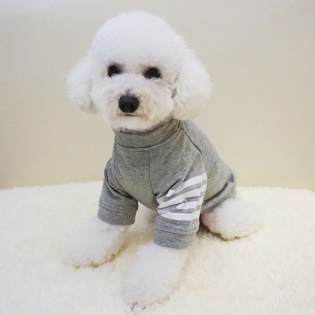Tide brand autumn and winter pet clothes cotton Teddy Bichon Schnauzer sweater cat clothes puppy pet clothes autumn
