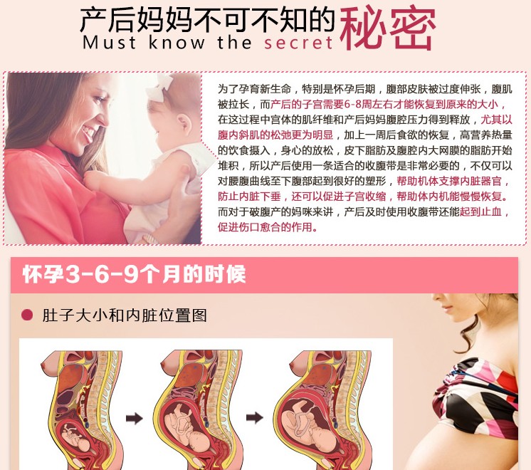 Corset sexy en acrylique - Ref 676472 Image 35