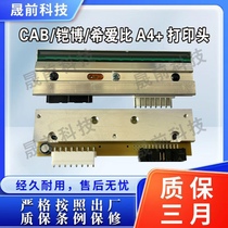 CAB A4 Beidi BP-300PLUS 203 300dpi barcode print head slightly defective