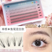 Delivery tool Cute Lash Single Root Fairy Mullet Tail hair mix under type A false eyelash supernatural sectional