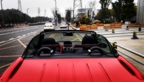 Logo 206CC convertible wind deflector spoiler return air mesh panel universal type