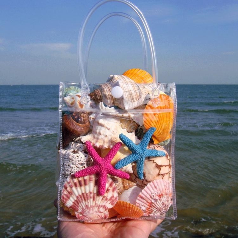 Natural Shells Sea Snail Sea Star Swing Piece Fish Tank Water Family Terrace Shop Windows shop window View Decoration children Toys small gifts