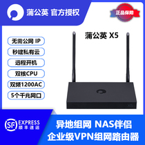 Dandelion X5 dual-core Gigabit enterprise VPN router Dual-band wifi to build a virtual LAN Nas