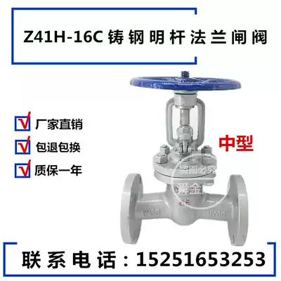 Z41H-16C Cast steel carbon steel high temperature steam flange gate valve DN25 40 50 65 80 100 150 200