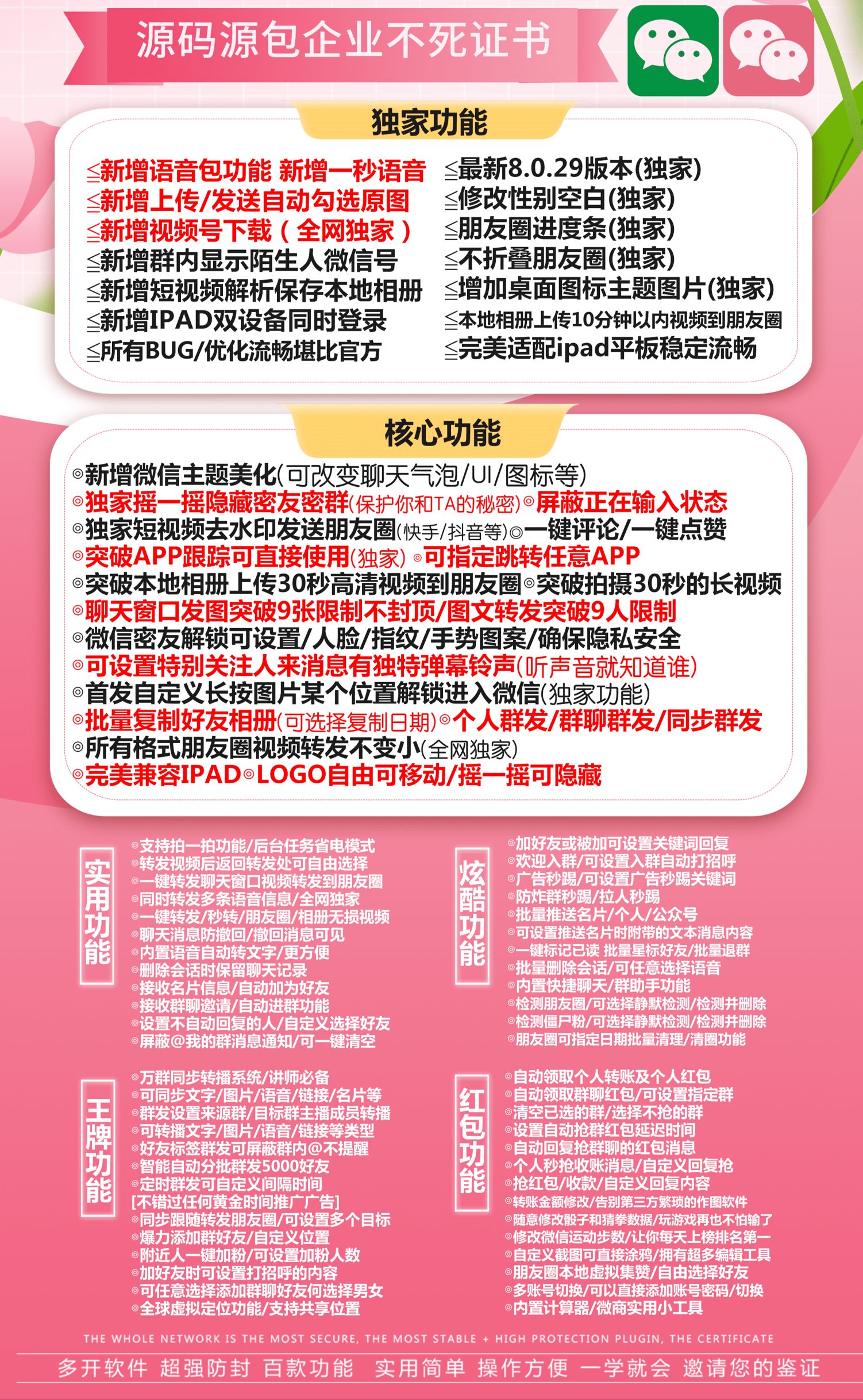小不点.jpg