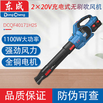 Dongcheng DCQF40171H2S brushless charging blower blower snow blower 1100W high power snow blower