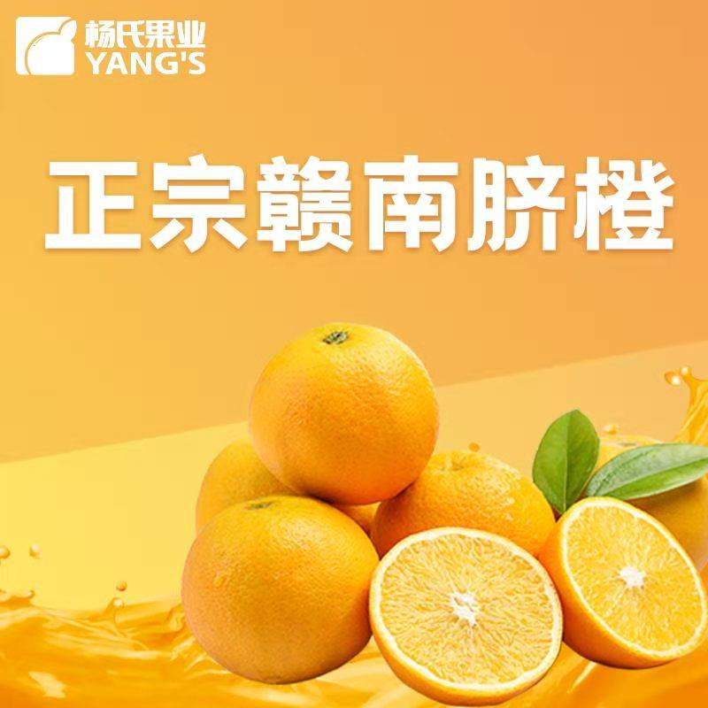 杨氏 赣南脐橙 4.5斤 天猫优惠券折后￥24.9包邮（￥29.9-5）