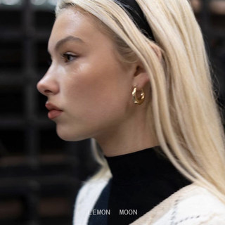 Must-Have for Everyone: European and American Style Brass Gold-Plated Oval Earrings, Ins Cool Style, Hip-Hop Fashionable Personality Hollow Hoop Earrings