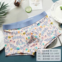 1 Dress painting inside hipster Tide brand mens underwear mens modal cotton flat corner waist personality creative shorts
