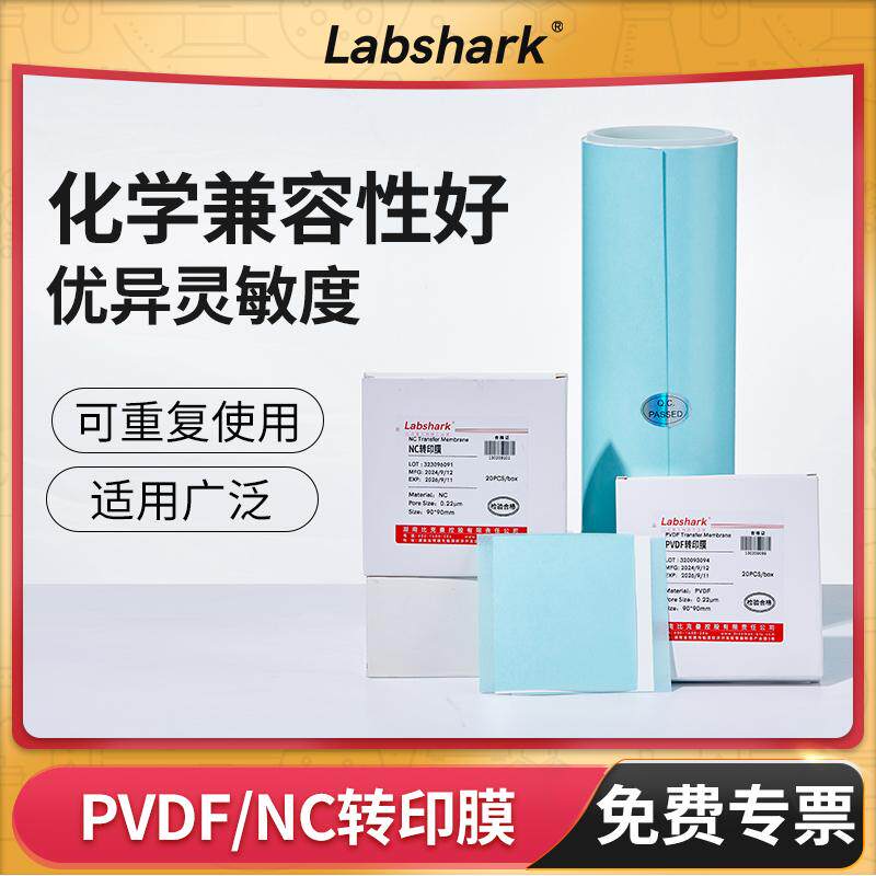 Labshark转印膜PVDF膜NC膜0.22 0.45&mu;m蛋白耗材WB免疫实验室90mm