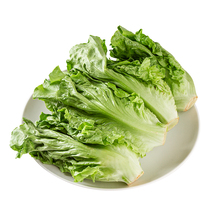 San Akita Italian Lettuce 280g serving