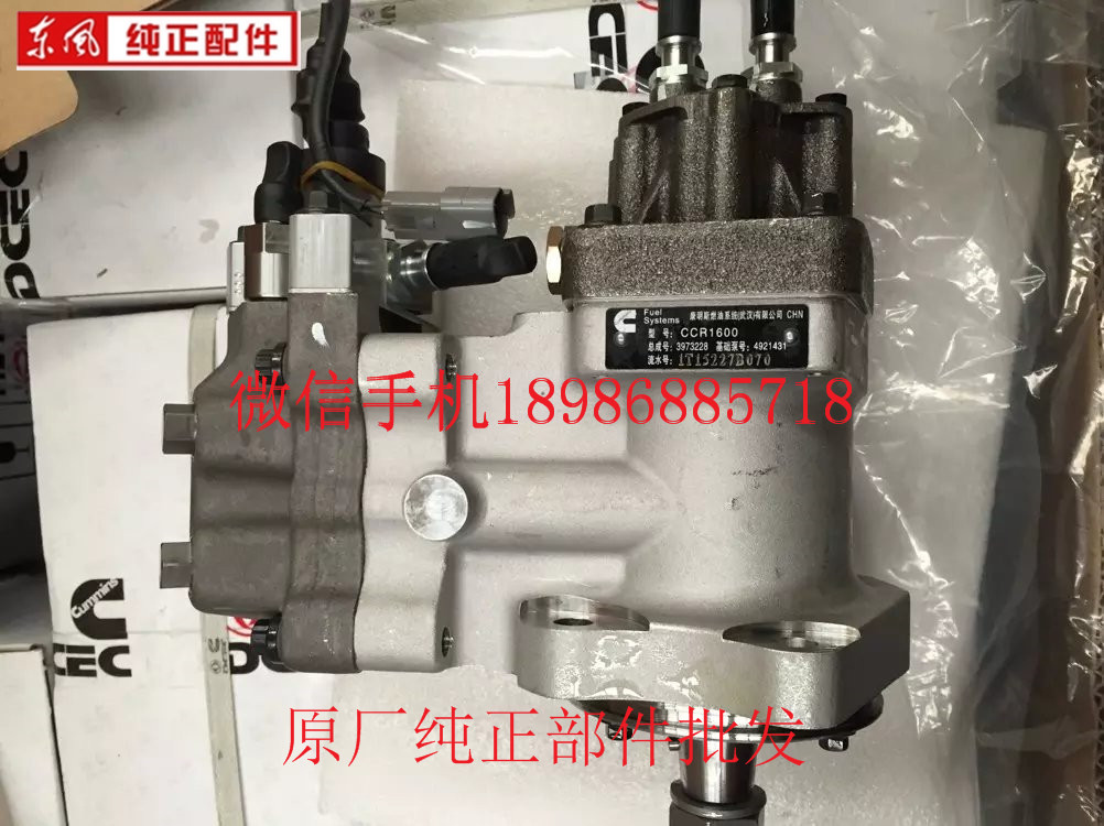 Dongfeng Cummins ISLe6L series engine fuel pump high pressure fuel pump D3973228