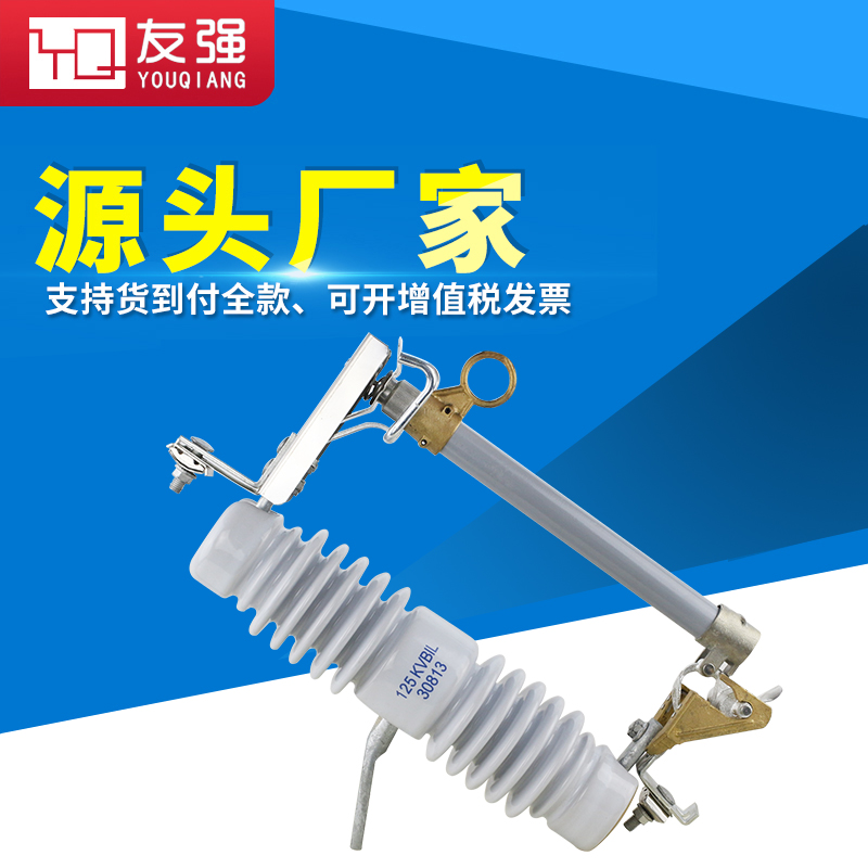 10KV outdoor high voltage drop fuse RW12-15 gram switch drop insurance RW11-10 100A