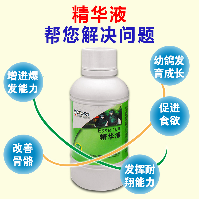 Thuốc chim bồ câu Hannover tinh chất Daquan 250ml đua chim bồ câu đua chim bồ câu đua cung cấp chim bồ câu trẻ dinh dưỡng lỏng - Chim & Chăm sóc chim Supplies thức ăn chim trĩ