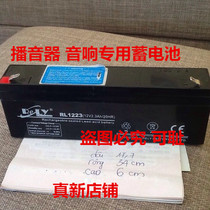 RELY battery RL1223 (12V2 3Ah 20HR) audio amplifier battery for audio loudspeaker broadcaster