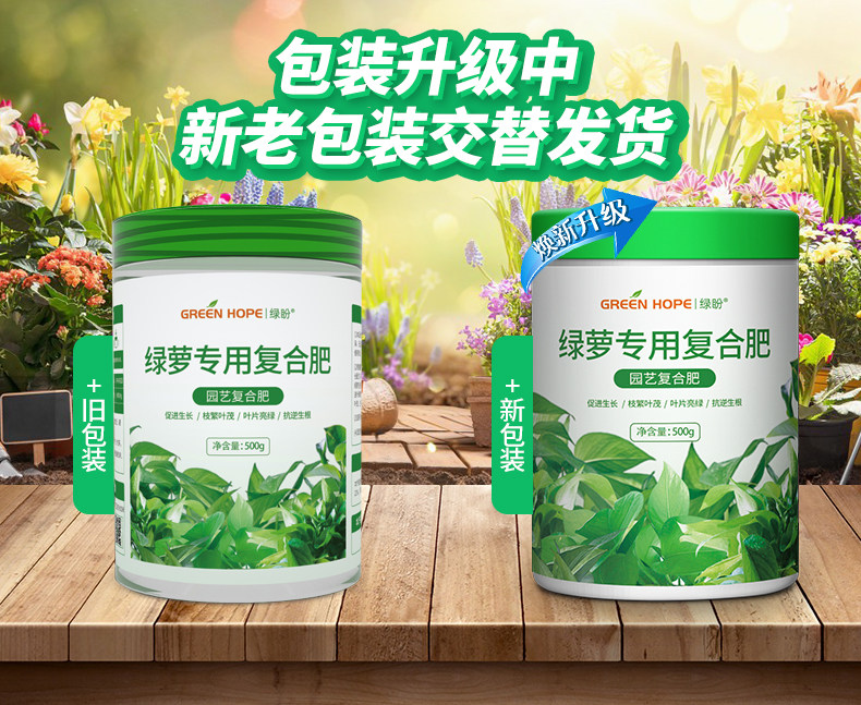 Special .jpg для Green Dill .jpg