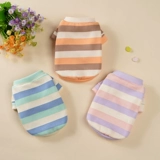 Одежда для домашней одежды для домашней одежды пленки для собак Весна и осенняя кошка Тедди Бибельбаби Беломексер маленькая собака осень и зима