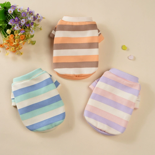 Одежда для домашней одежды для домашней одежды пленки для собак Весна и осенняя кошка Тедди Бибельбаби Беломексер маленькая собака осень и зима