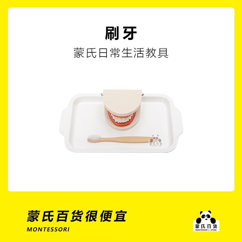 Montservers' daily life teaching aids kindergarten dental dentures model to recognize the work of tooth brushing exercises